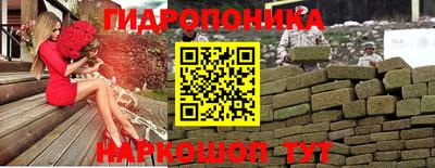 шишки Обь