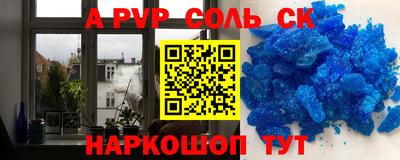 шишки Обь