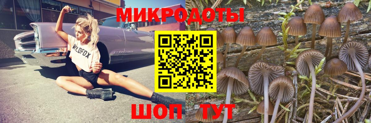 Псилоцибиновые грибы Psilocybine cubensis Ростов Великий