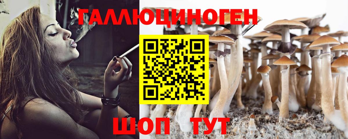 Псилоцибиновые грибы мухоморы  где найти   Ростов Великий  Галлюциногенные грибы мухоморы  Вход с VPN 